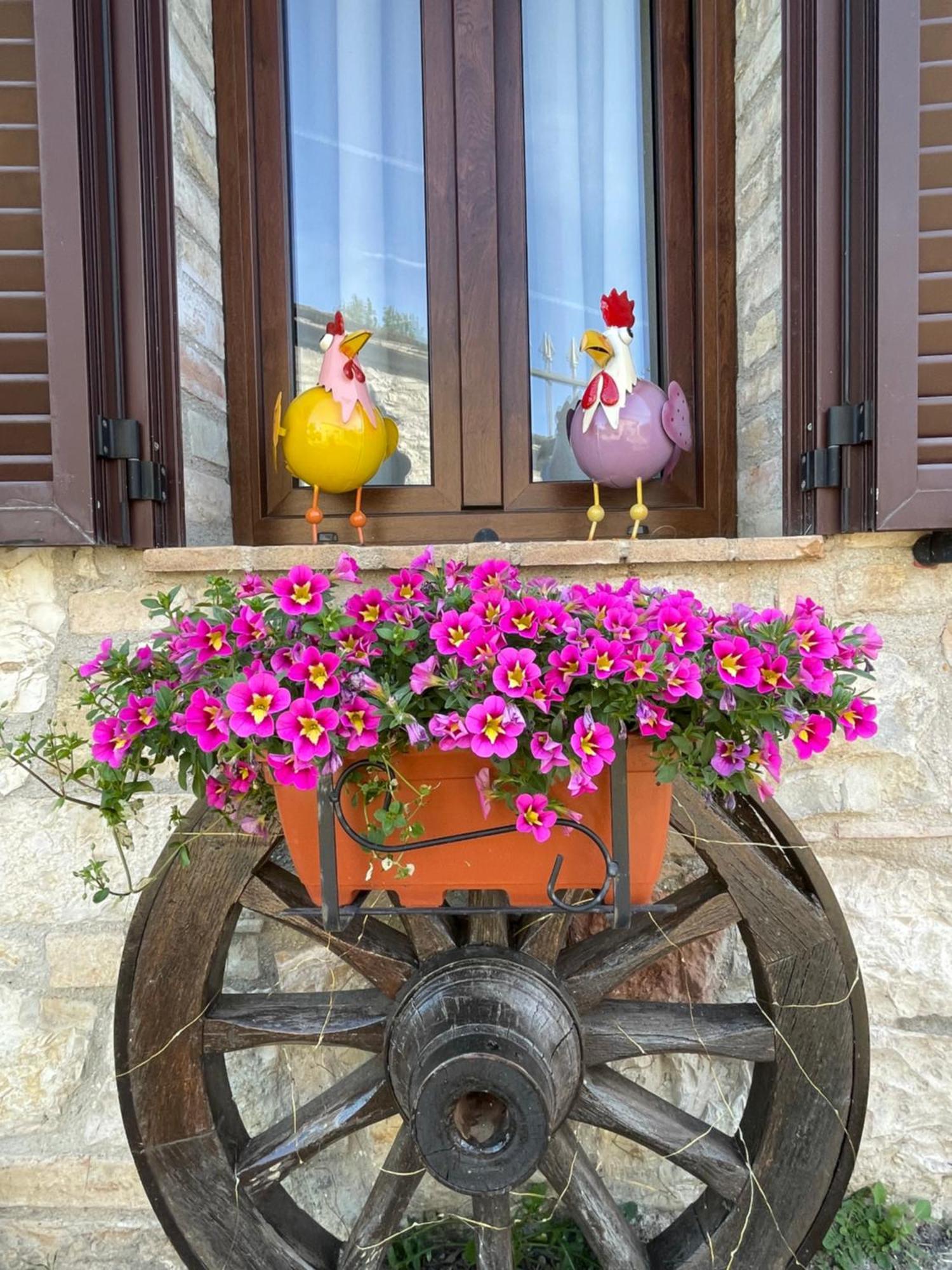 Ca Di Milla B&B Assisi Exterior foto